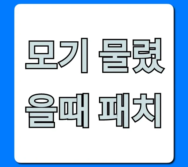 모기 물렸을때 패치, 가려움 싹 잡는 꿀팁 총정리