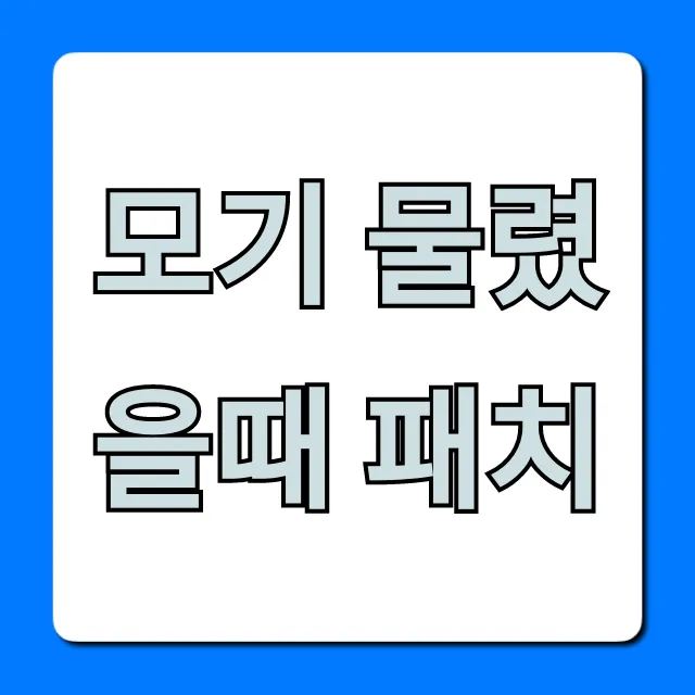 모기 물렸을때 패치, 가려움 싹 잡는 꿀팁 총정리