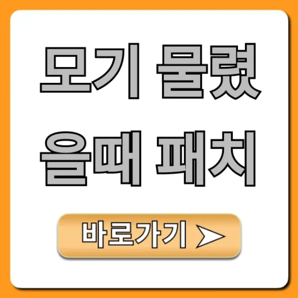 모기 물렸을때 패치 추천! 종류별 완벽 가이드