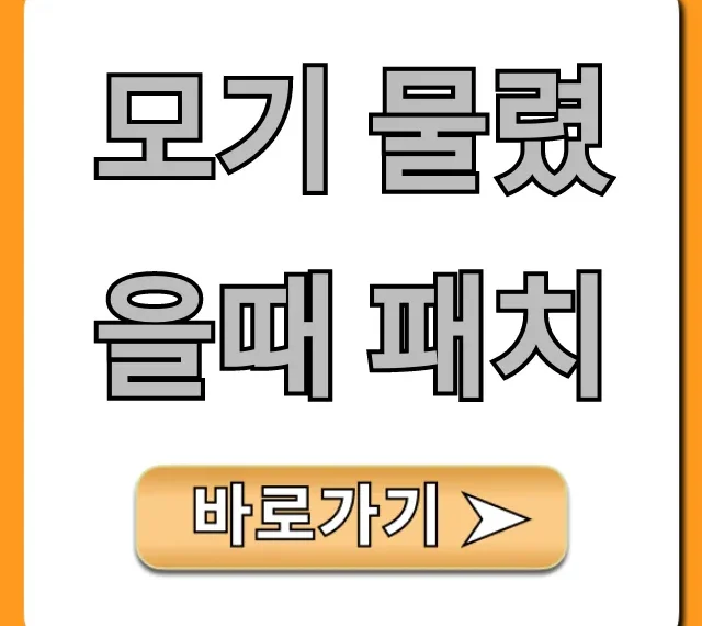 모기 물렸을때 패치 추천! 종류별 완벽 가이드