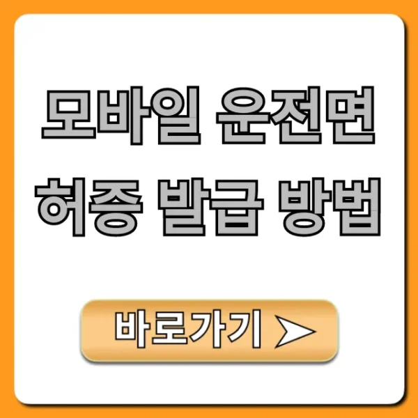 모바일 운전면허증 발급 방법 완벽 가이드 (쉬운 신청 꿀팁)