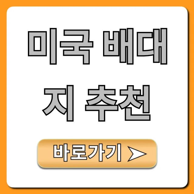 미국 배대지 추천, 직구 초보 완벽 가이드