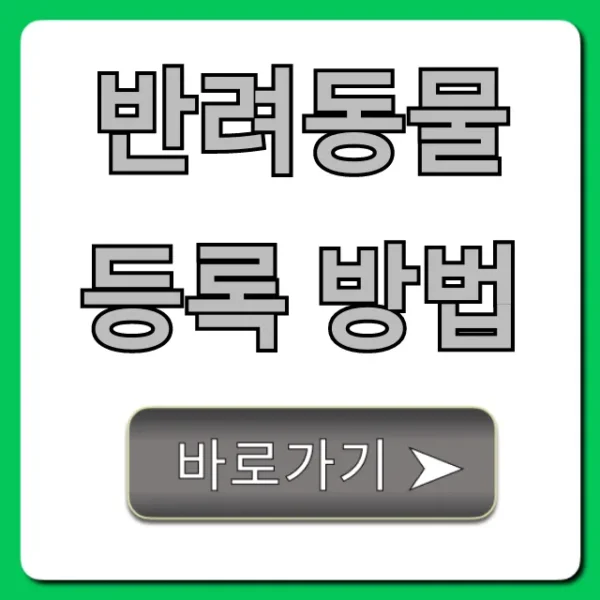 반려동물 등록 방법, 벌금 걱정 끝! 한 번에 해결
