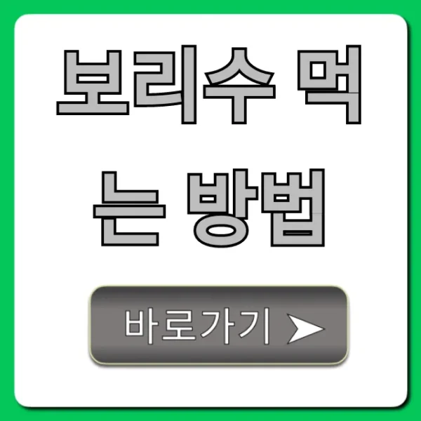 보리수 먹는 방법, 효능 높이는 꿀팁 총정리
