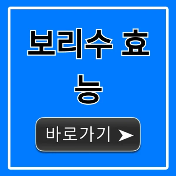 보리수 효능, 먹는법부터 부작용까지 완벽정리!