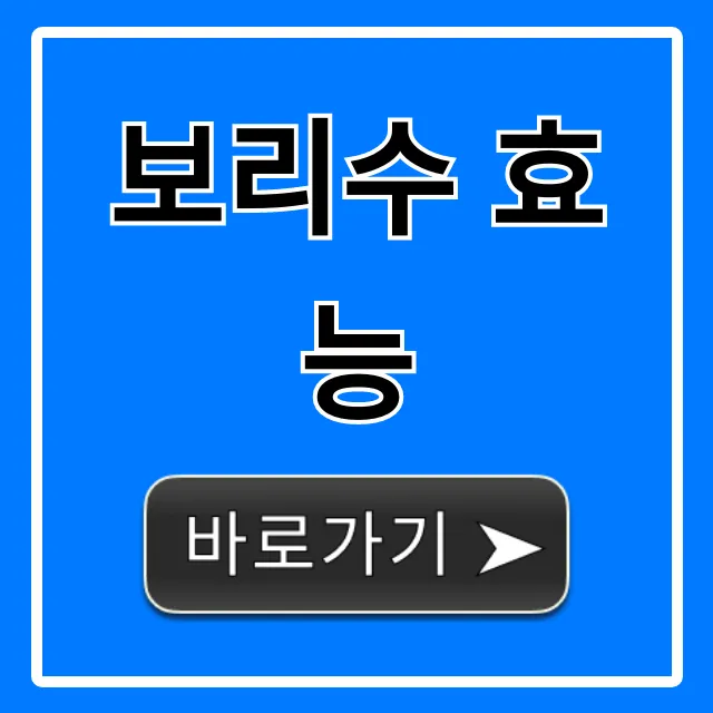 보리수 효능, 먹는법부터 부작용까지 완벽정리!