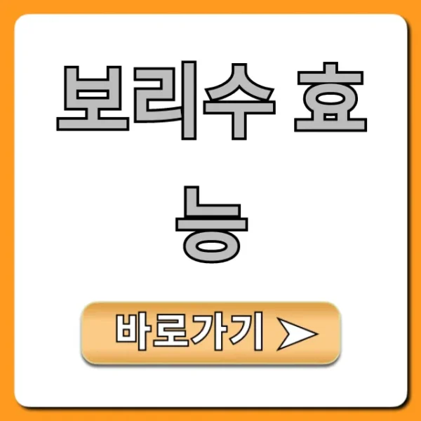 보리수 효능, 부작용부터 먹는 법까지 완벽 가이드