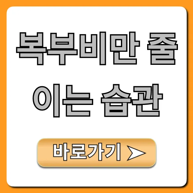 복부비만 줄이는 습관, 뱃살 빼는 꿀팁 총정리
