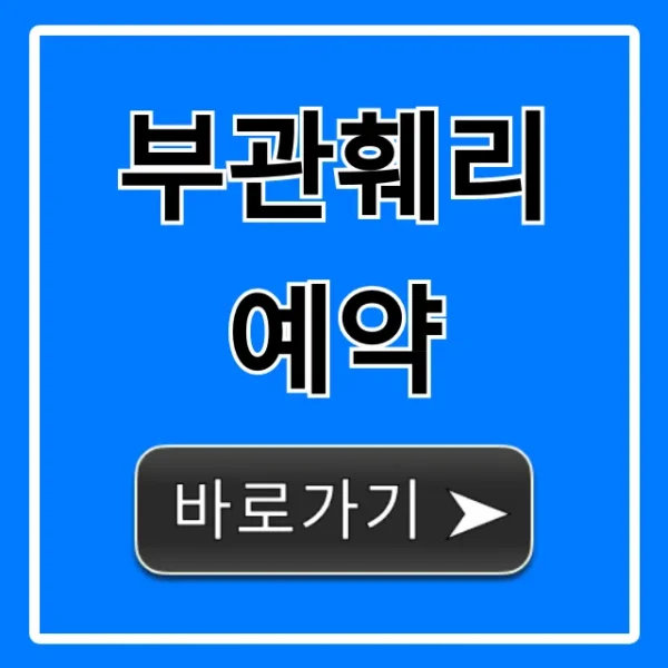 부관훼리 예약 꿀팁: 완벽 가이드