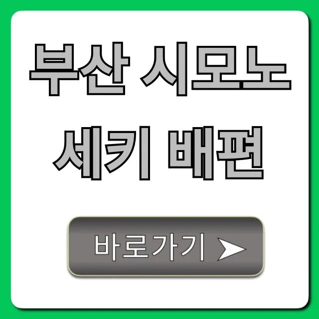 부산 시모노세키 배편 가격 시간 완벽 가이드