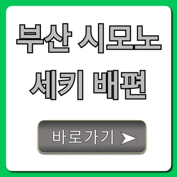 부산 시모노세키 배편: 최신 가격 시간 예약 총정리
