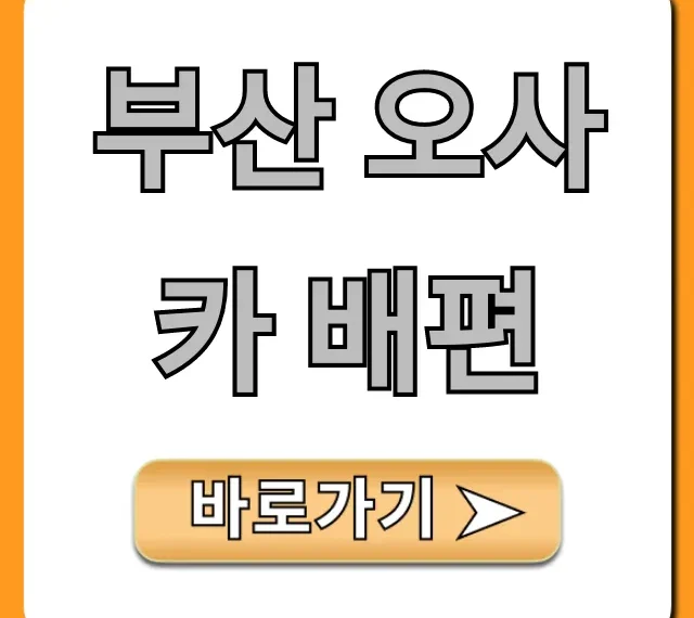 부산 오사카 배편 완벽 가이드: 가격, 시간, 예약 꿀팁
