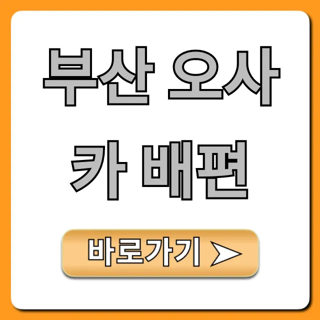 부산 오사카 배편 완벽 가이드: 가격, 시간, 예약 꿀팁