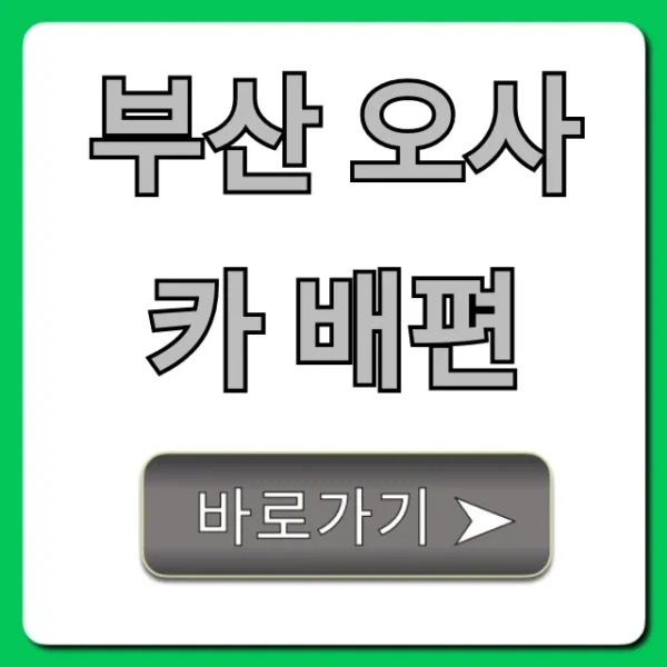 부산 오사카 배편 총정리! 시간표, 가격 한눈에