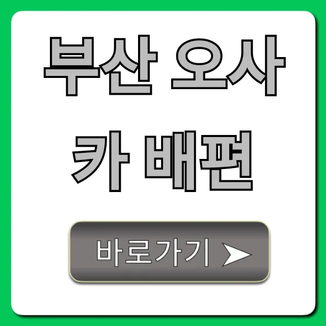 부산 오사카 배편 총정리! 시간표, 가격 한눈에