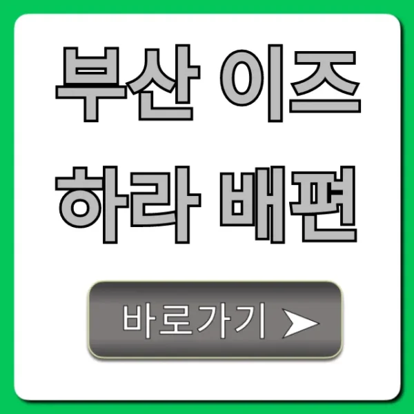 부산 이즈하라 배편 가격 시간 예약 총정리