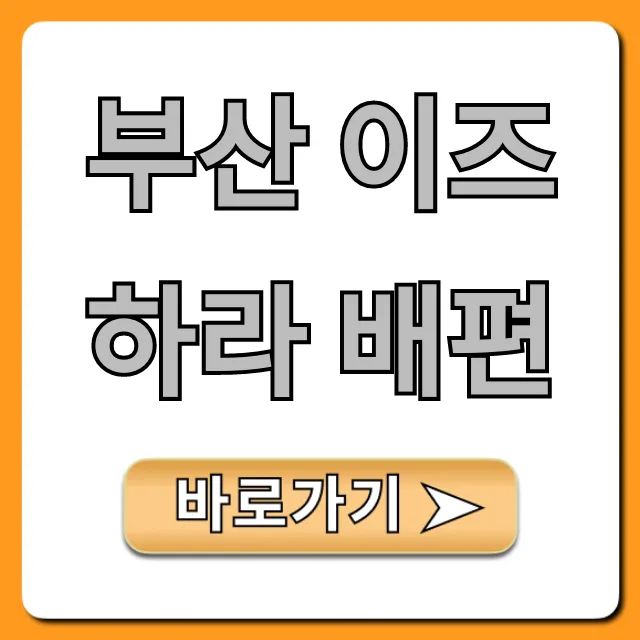 부산 이즈하라 배편 가격, 시간, 예약 총정리
