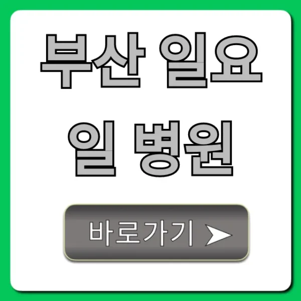 부산 일요일 병원 문 연 곳 진료시간 총정리