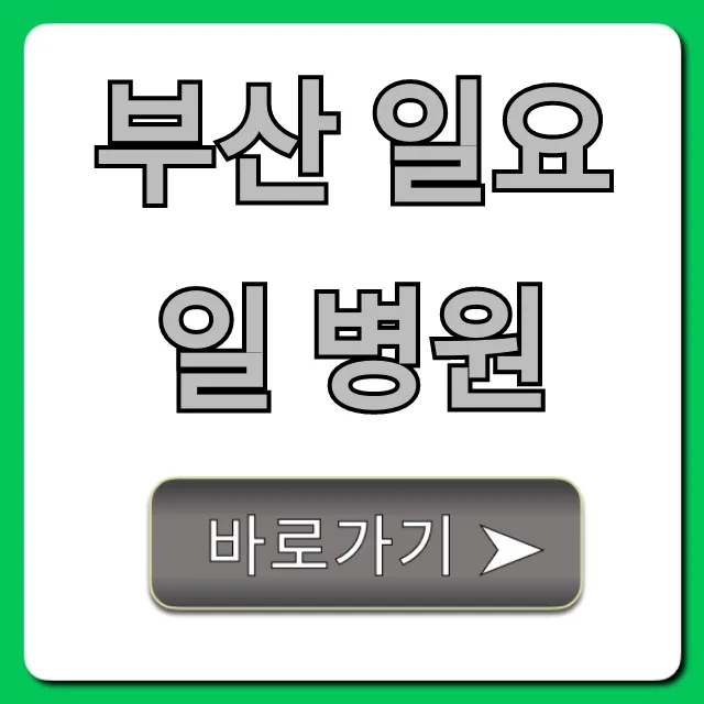 부산 일요일 병원 문 연 곳 진료시간 총정리
