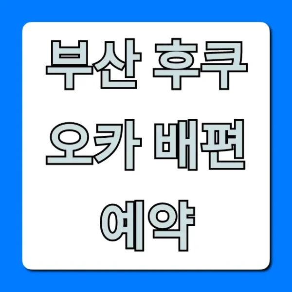 부산 후쿠오카 배편 예약 꿀팁! 최저가 총정리