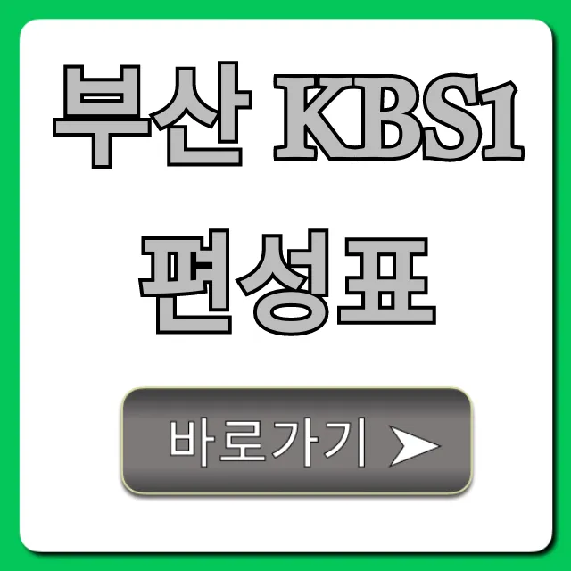 부산 kbs1 편성표 실시간 조회 꿀팁