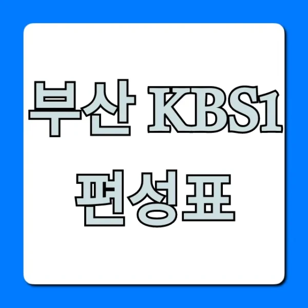 부산 kbs1 편성표 오늘 방송 시간 총정리