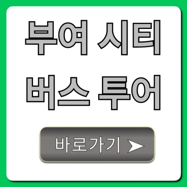 부여 시티버스 투어 총정리: 가격부터 예약까지