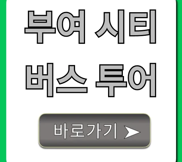 부여 시티버스 투어 총정리: 가격부터 예약까지