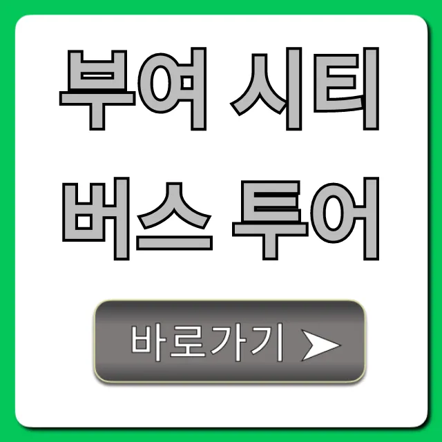 부여 시티버스 투어 총정리: 가격부터 예약까지