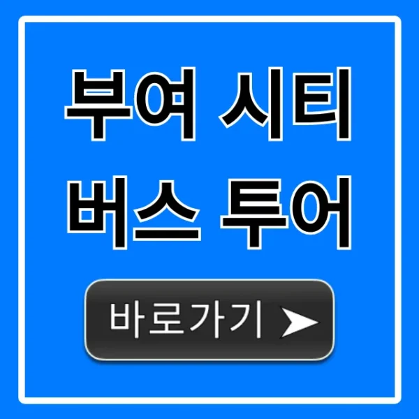 부여 시티버스 투어 코스, 예약 방법 완벽 가이드