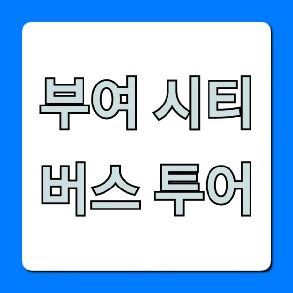 부여 시티버스 투어 코스부터 예약까지 완벽 가이드
