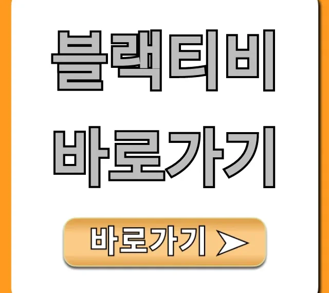 블랙티비 바로가기 공식 접속 꿀팁