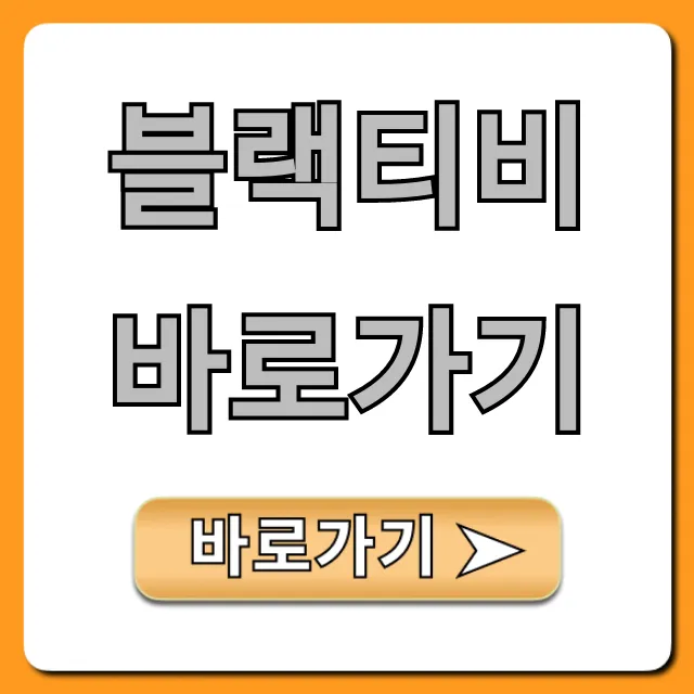 블랙티비 바로가기 공식 접속 꿀팁