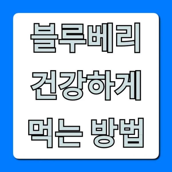 블루베리 건강하게 먹는 방법: 하루 섭취량 총정리