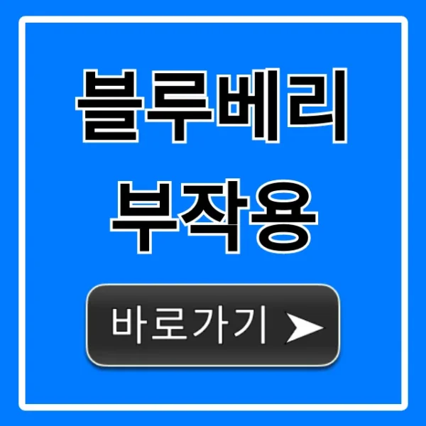 블루베리 부작용, 과다 섭취 전 필독! 증상 총정리