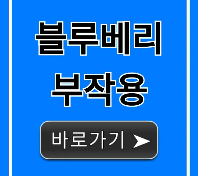 블루베리 부작용, 과다 섭취 전 필독! 증상 총정리