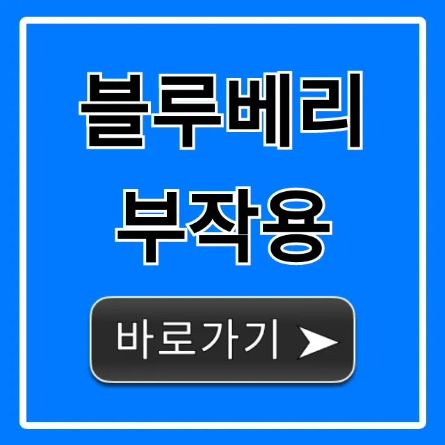 블루베리 부작용, 과다 섭취 전 필독! 증상 총정리