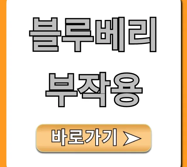 블루베리 부작용: 누가 먹으면 안 될까? 완벽 가이드