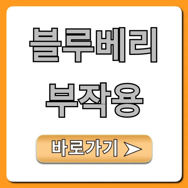 블루베리 부작용: 누가 먹으면 안 될까? 완벽 가이드