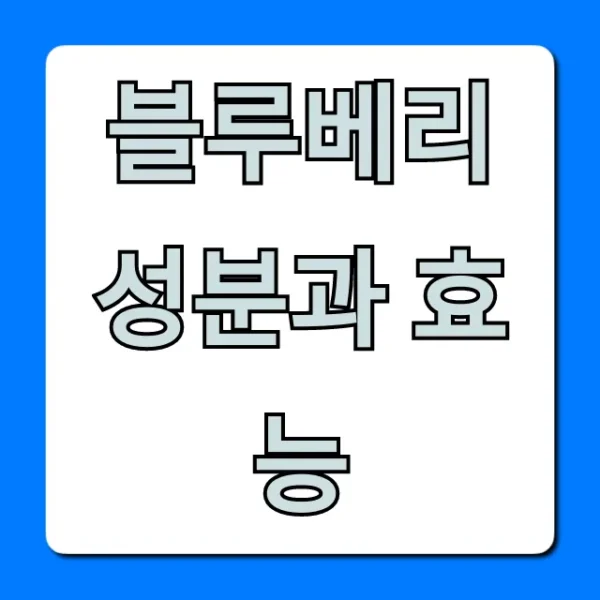 블루베리 성분과 효능: 눈 건강부터 부작용까지 총정리
