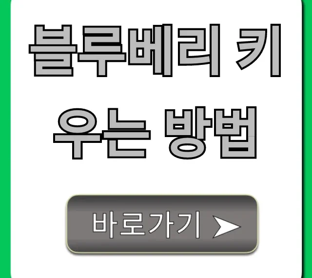 블루베리 키우는 방법, 초보도 성공하는 꿀팁 총정리