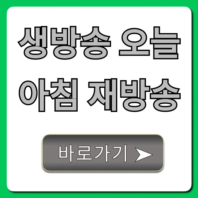 생방송 오늘아침 재방송 다시보기 시간과 방법 총정리