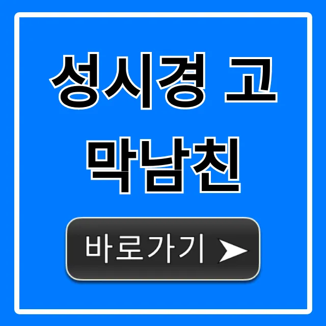 성시경 고막남친 플레이리스트 총정리