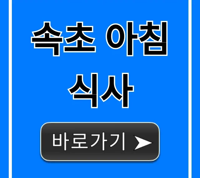 속초 아침 식사, 든든한 해장 맛집 총정리