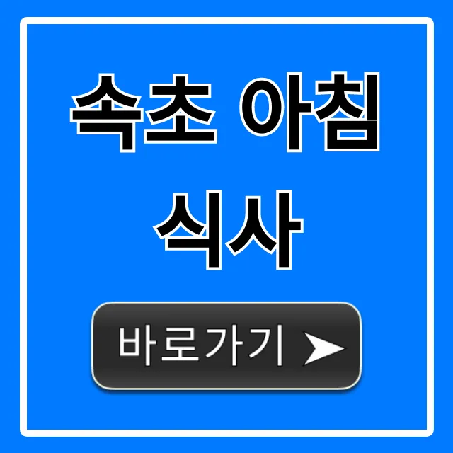 속초 아침 식사, 든든한 해장 맛집 총정리