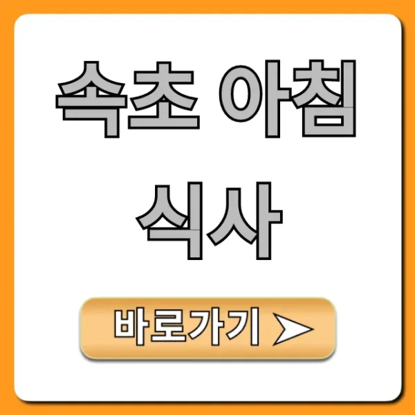속초 아침 식사, 실패 없는 현지인 꿀팁