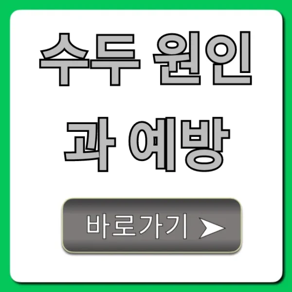 수두 원인과 예방: 초기 증상부터 백신까지 완벽 가이드