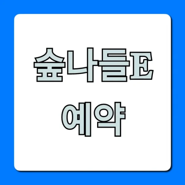 숲나들e 예약 방법! 선착순 명당 꿀팁 총정리