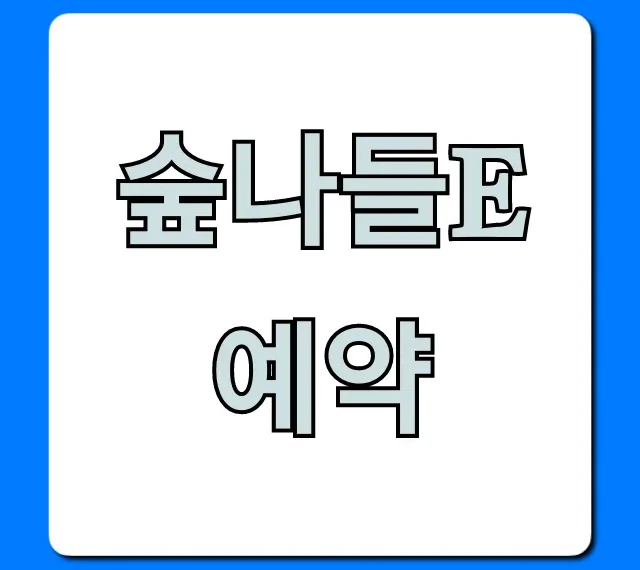숲나들e 예약 방법! 선착순 명당 꿀팁 총정리