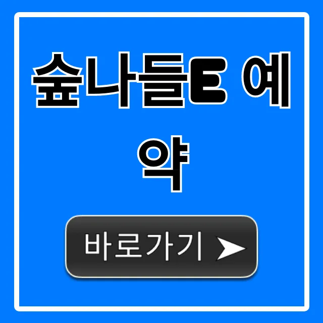 숲나들e 예약 캠핑장 성공 꿀팁